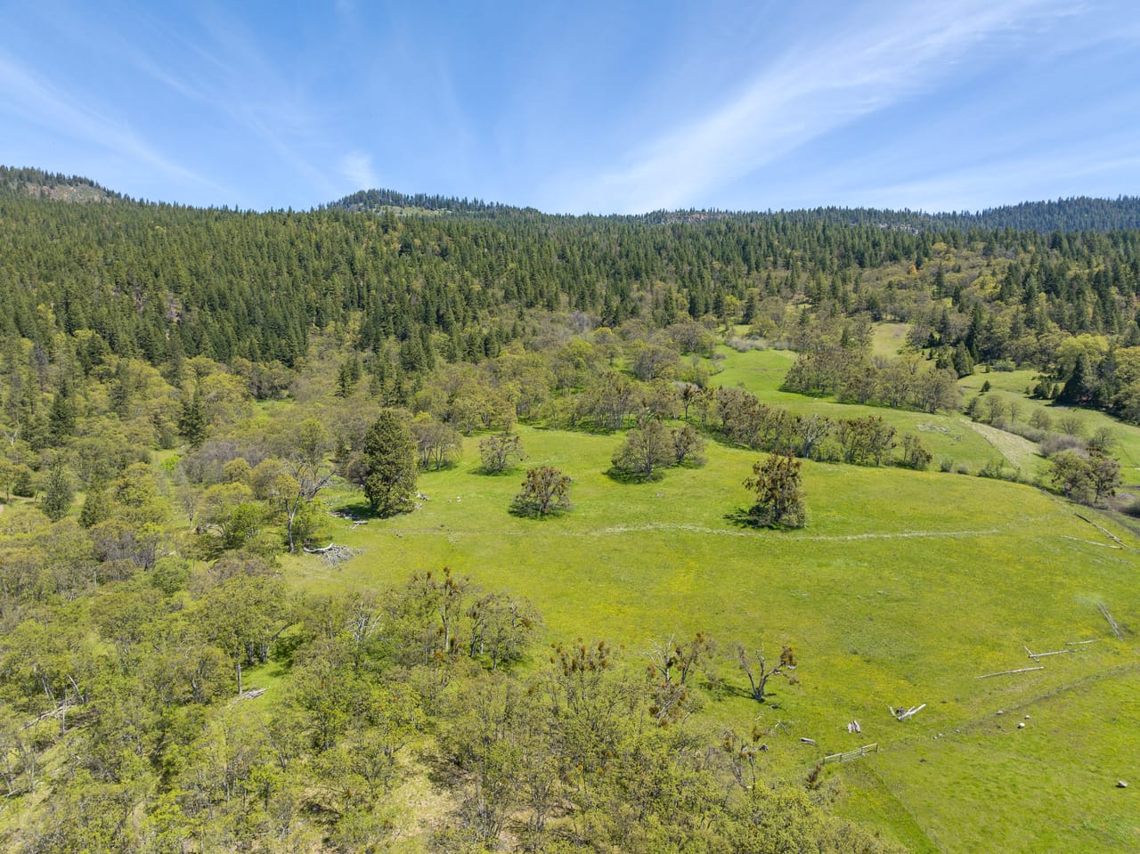 Listing Image 72
