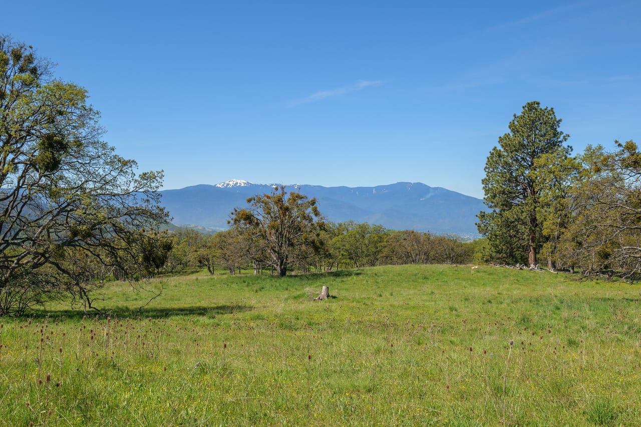 Listing Image 73