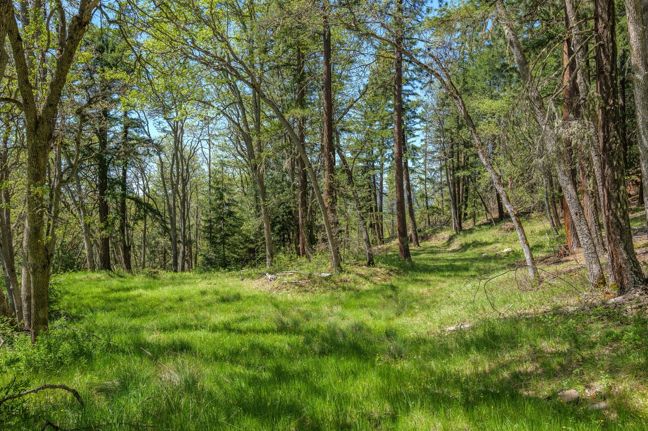 Listing Image 76
