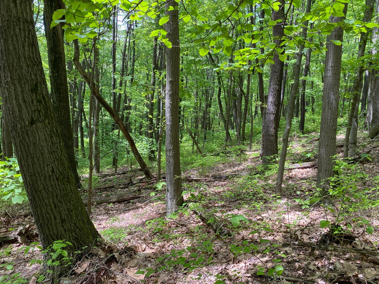 Listing Image 13