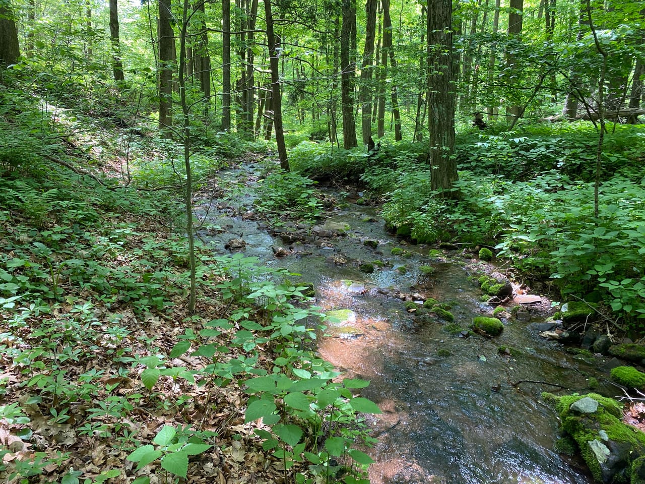 Listing Image 35