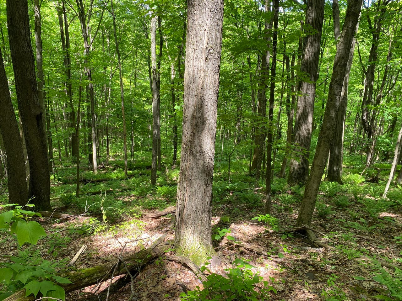 Listing Image 4