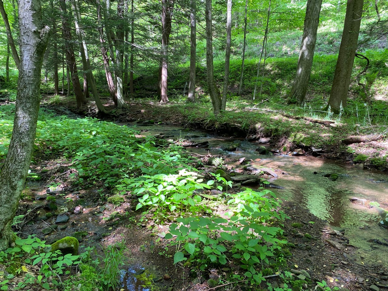 Listing Image 8
