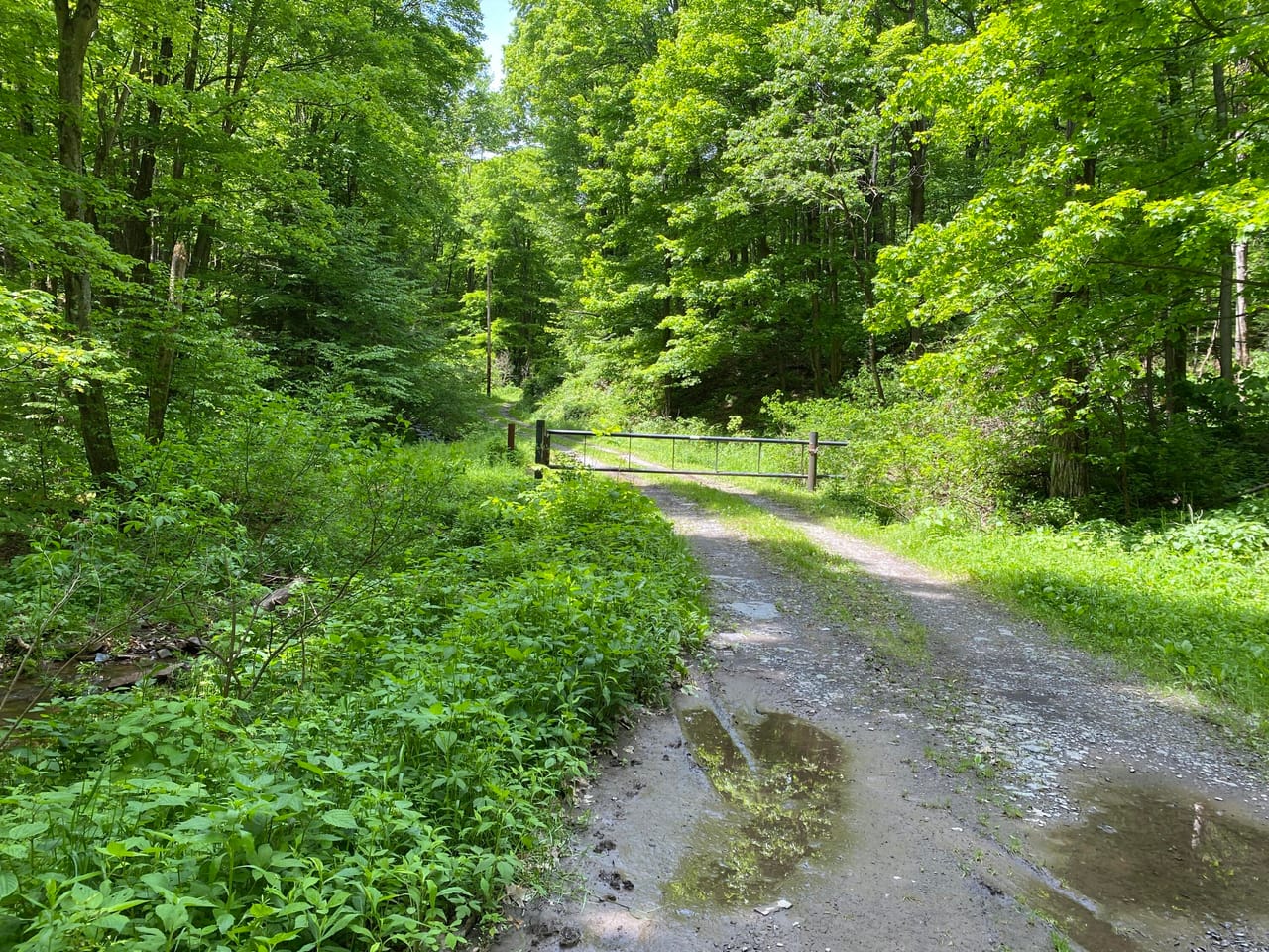 Listing Image 23