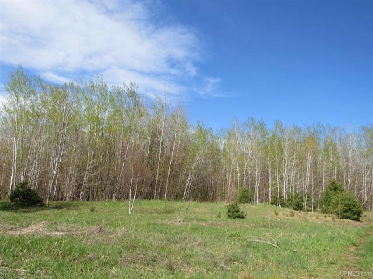 Listing Image 58