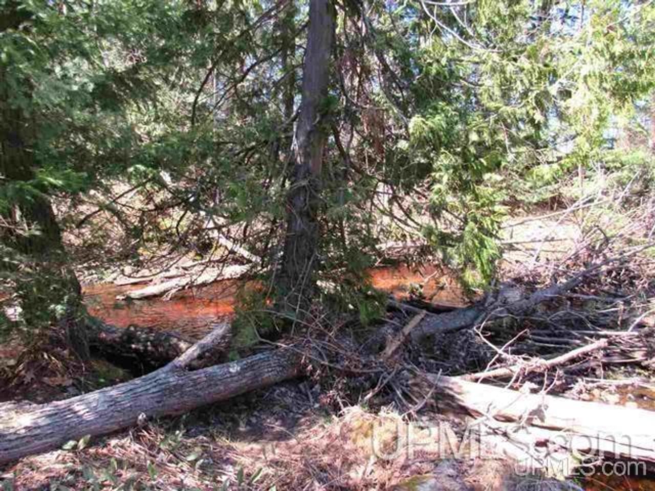Listing Image 65