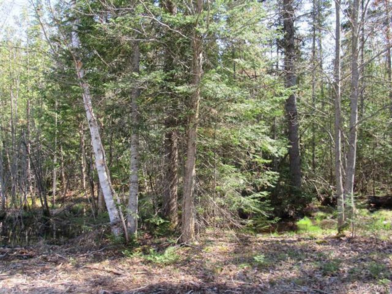 Listing Image 69