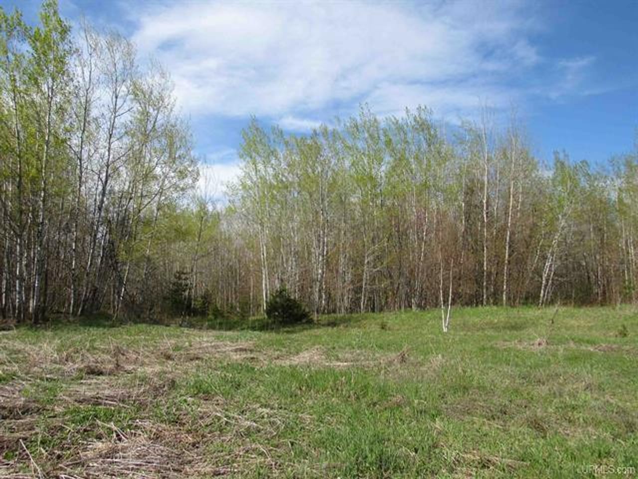 Listing Image 74