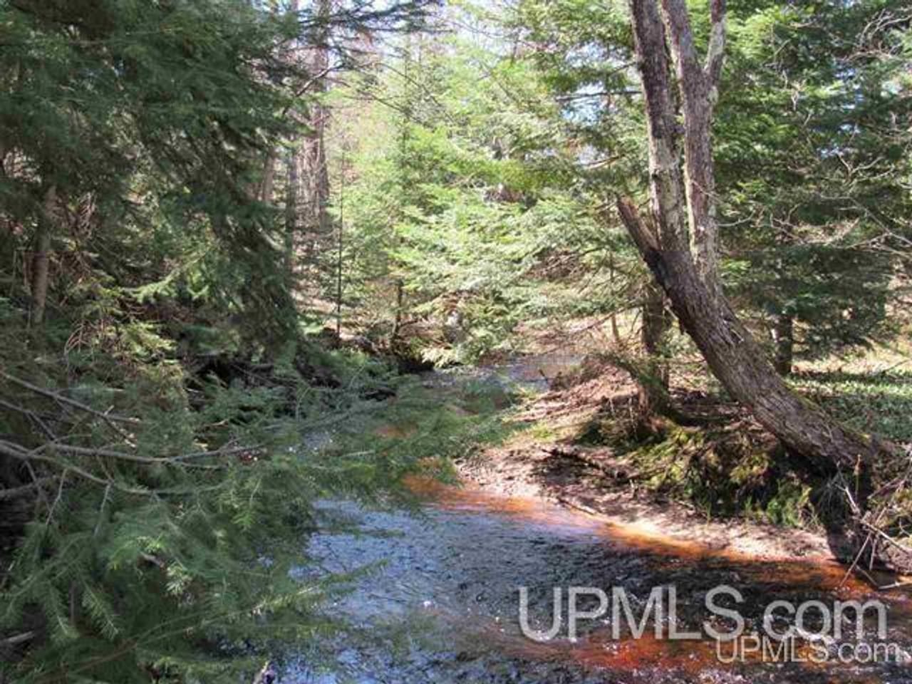 Listing Image 75