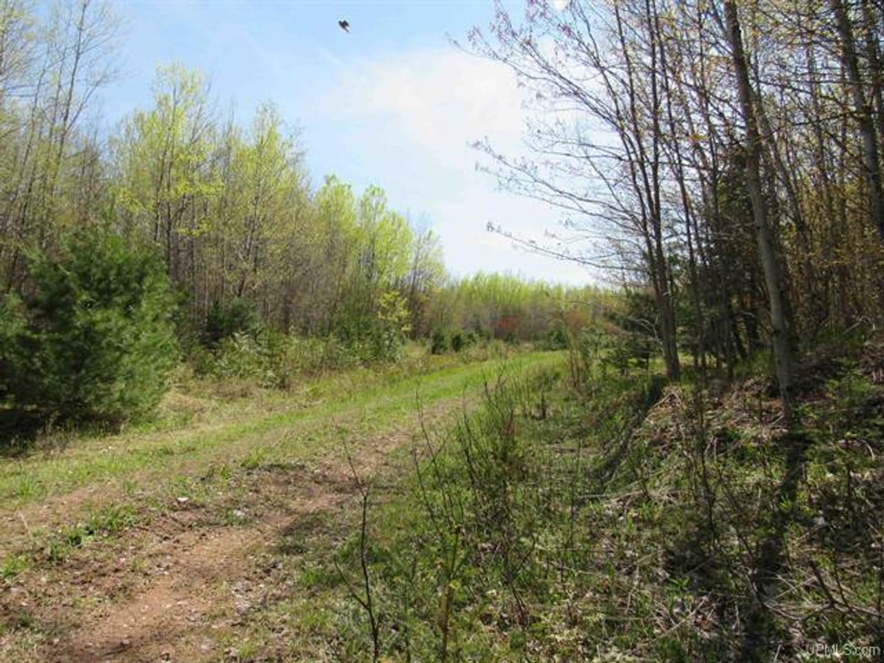 Listing Image 80