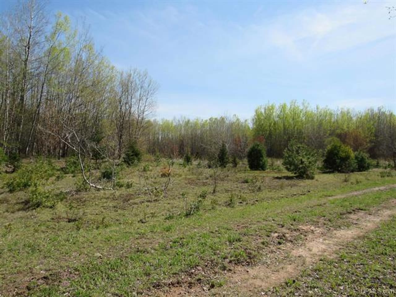 Listing Image 81