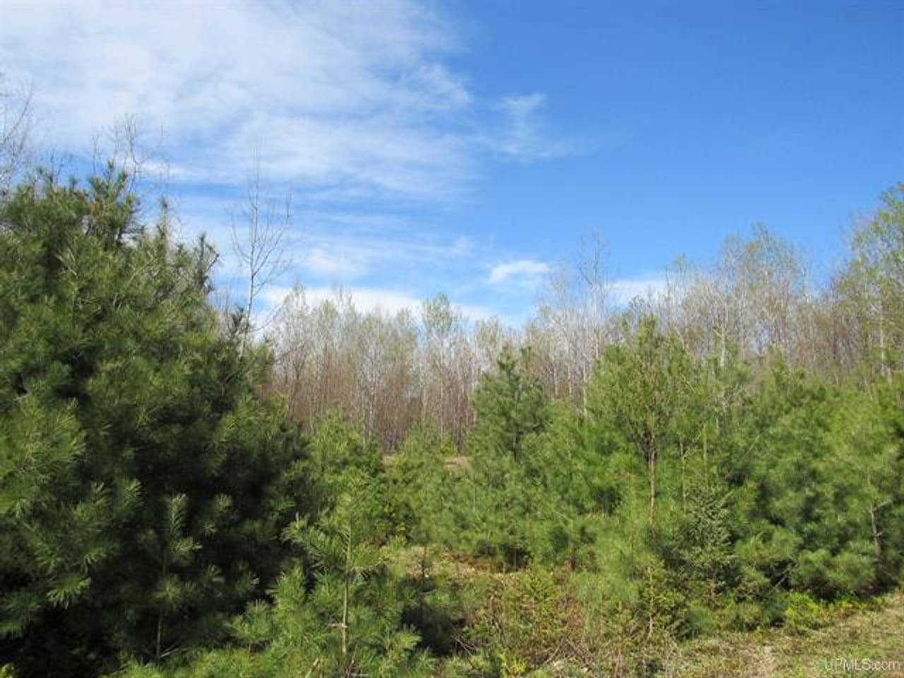 Listing Image 41