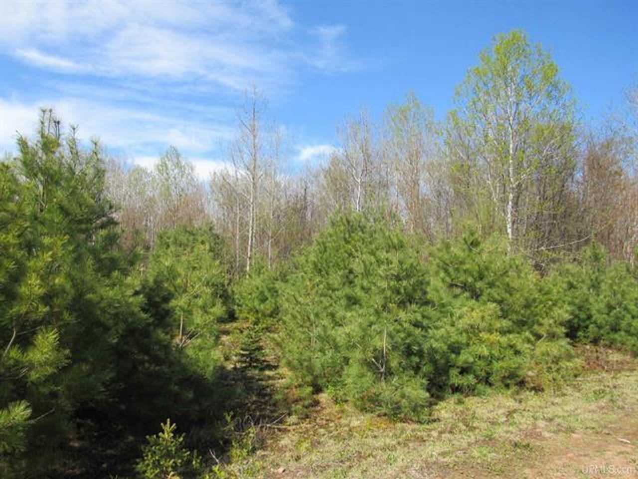 Listing Image 45