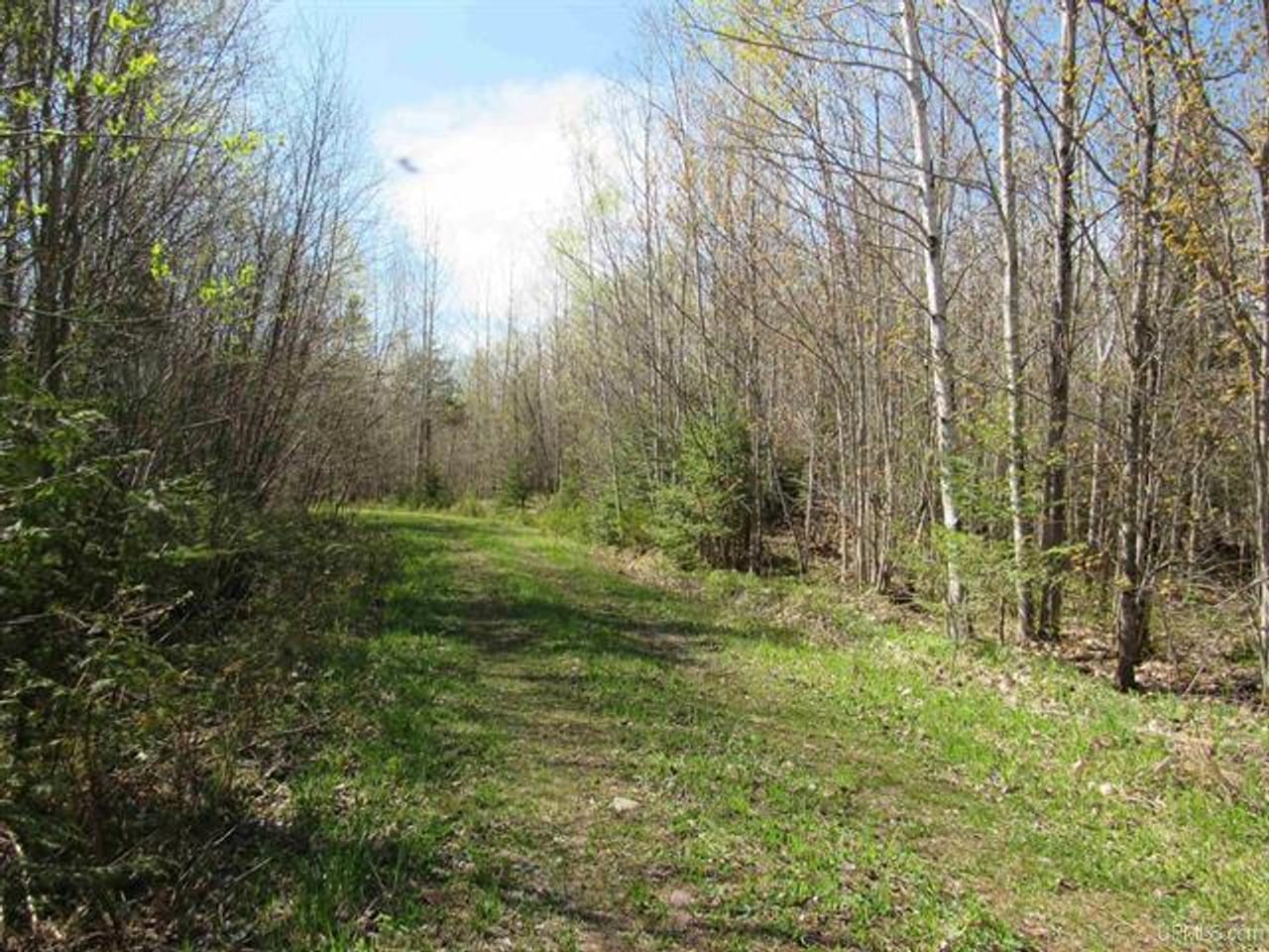 Listing Image 46