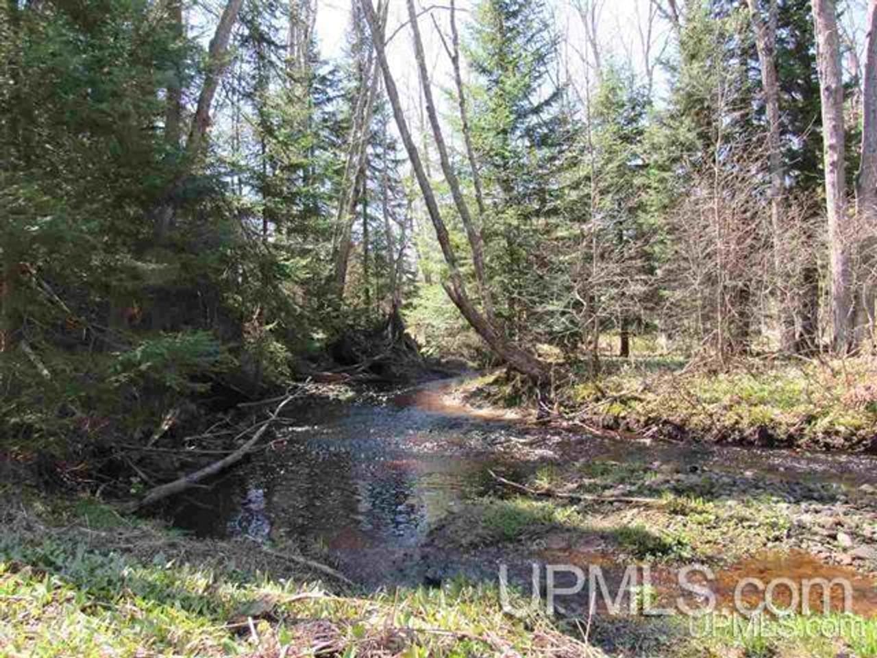 Listing Image 52