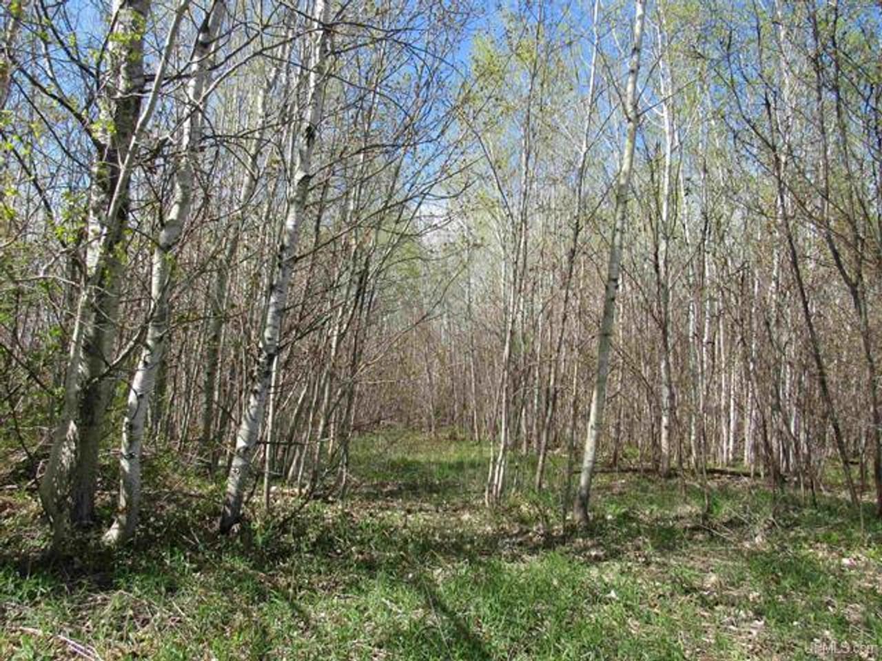 Listing Image 53
