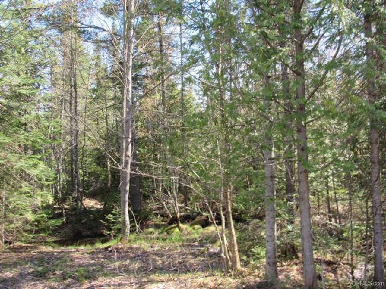 Listing Image 60