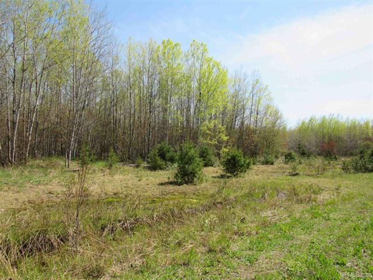 Listing Image 64