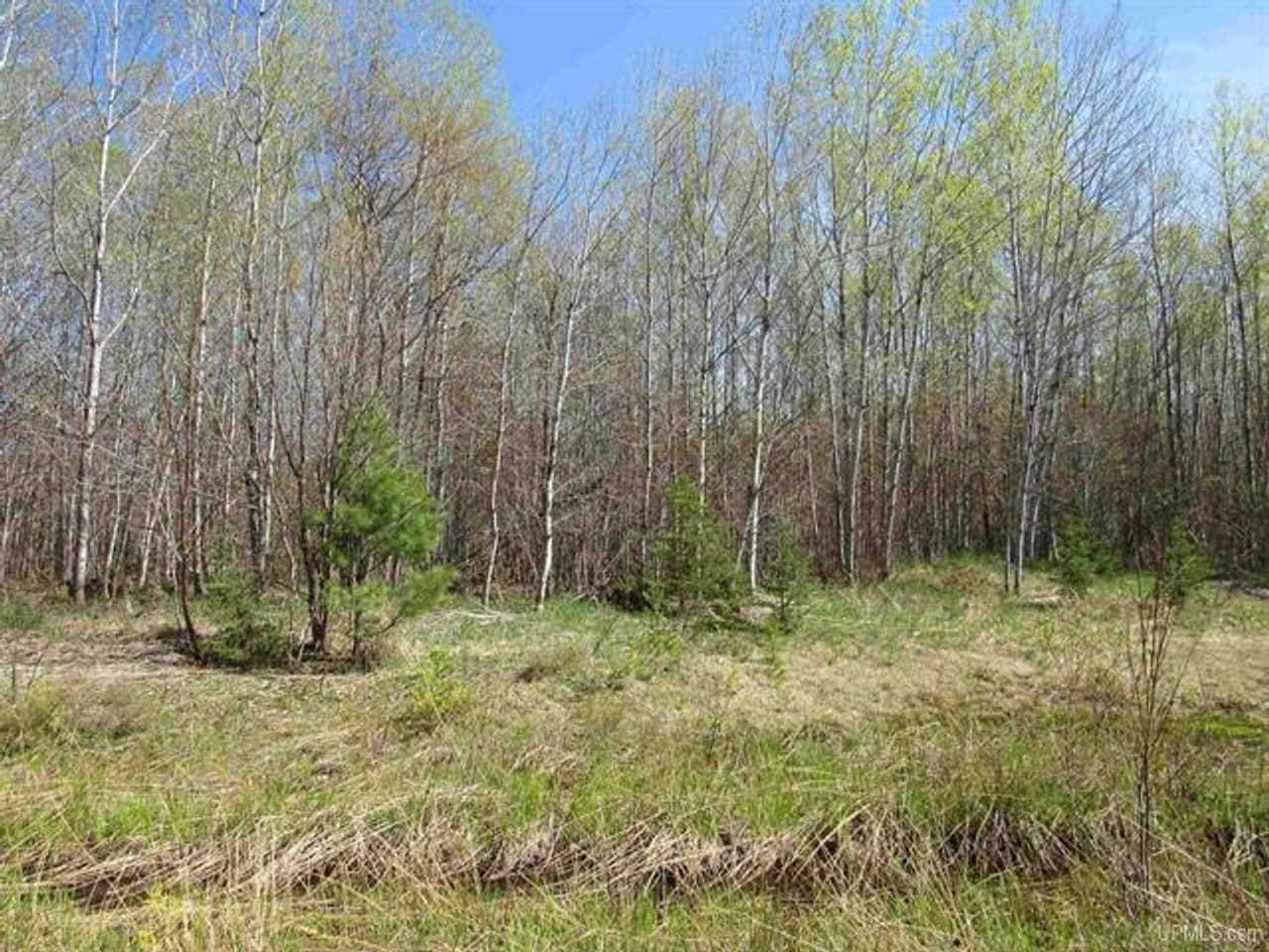 Listing Image 16