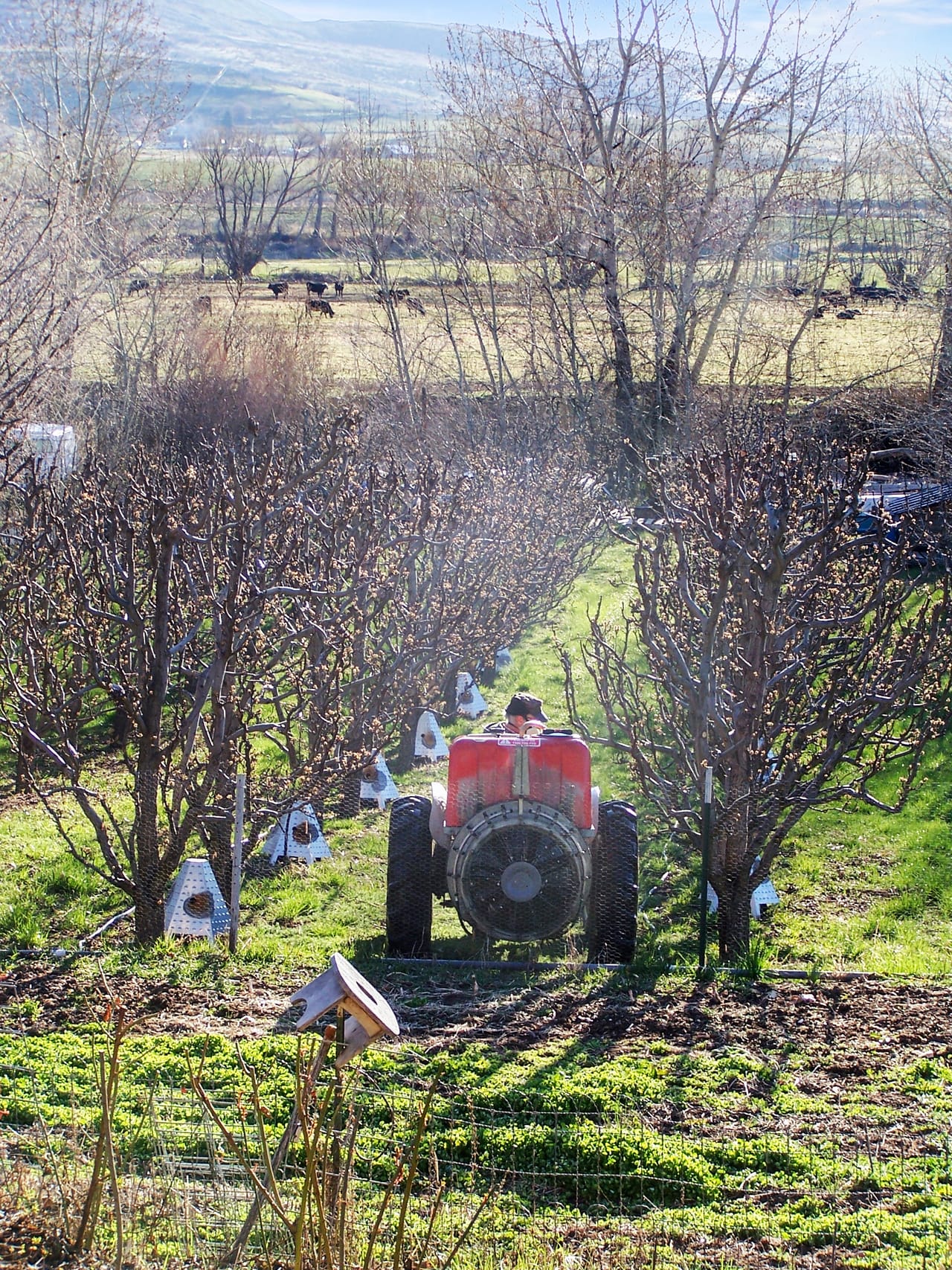 Eagle Creek Orchard