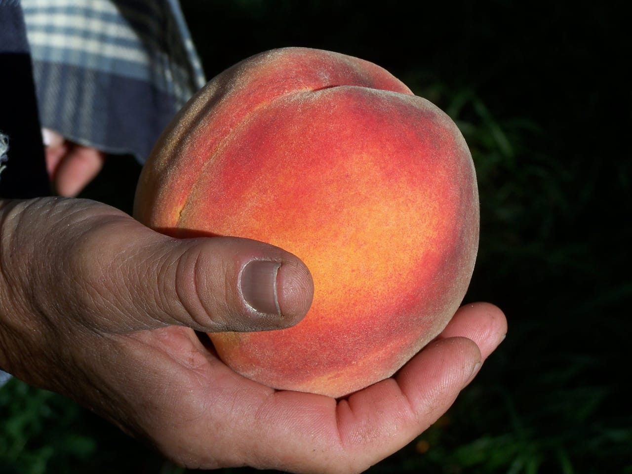 Eagle Creek Orchard