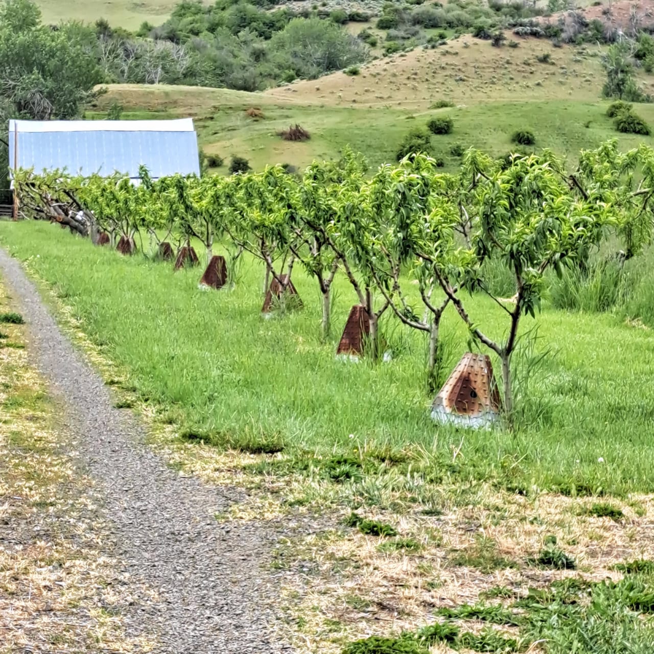 Eagle Creek Orchard