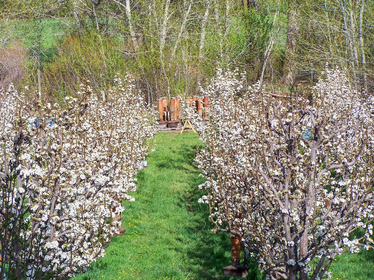 Eagle Creek Orchard