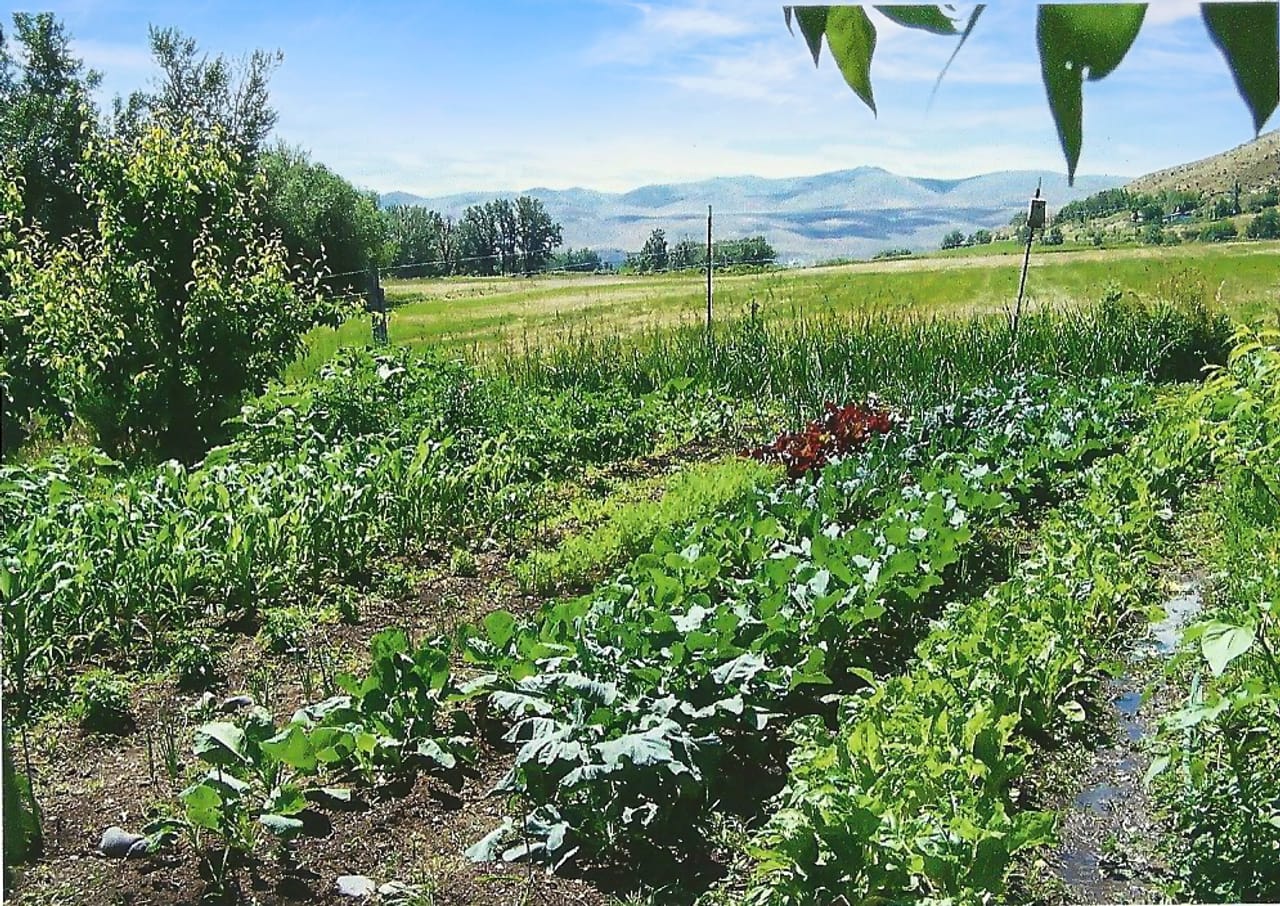 Eagle Creek Orchard