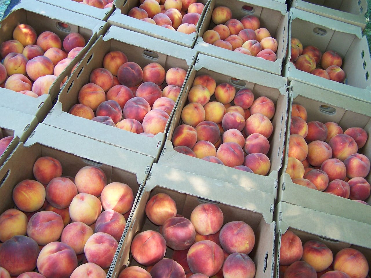Eagle Creek Orchard