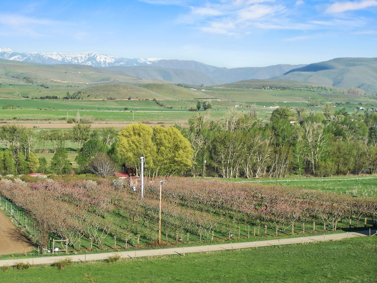Eagle Creek Orchard