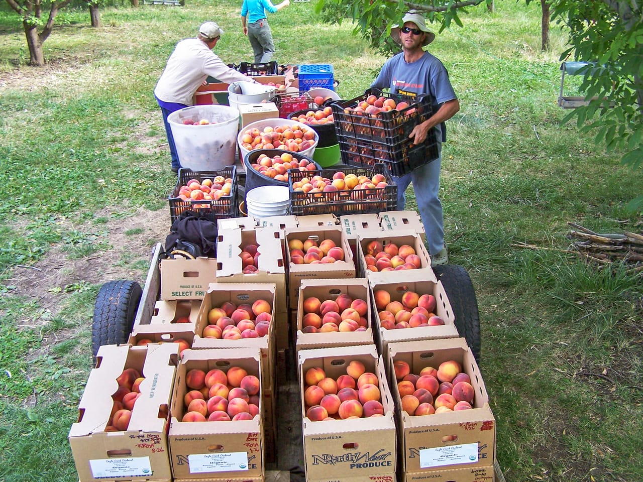Eagle Creek Orchard