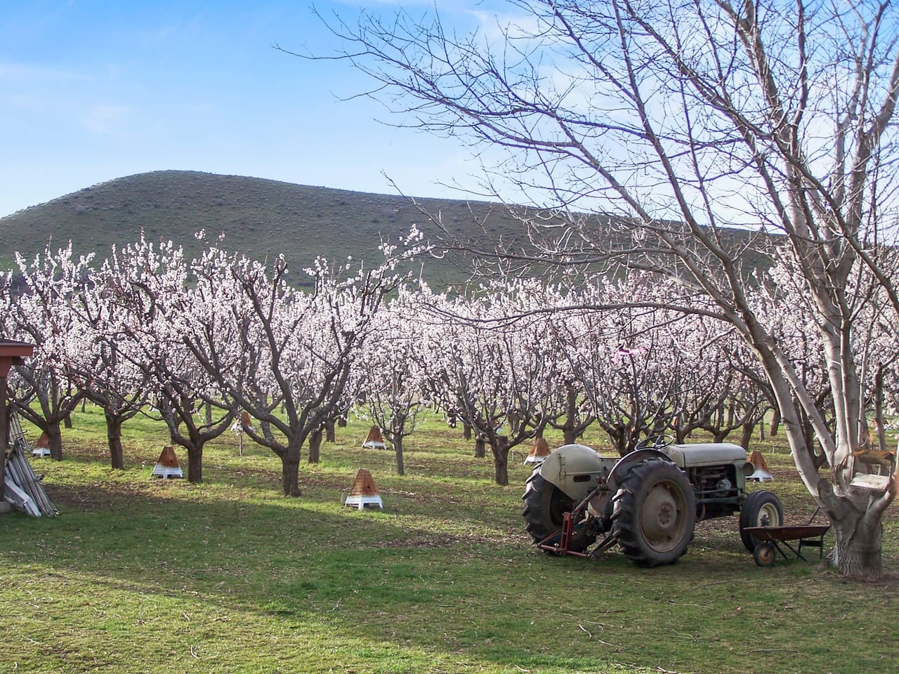 Eagle Creek Orchard