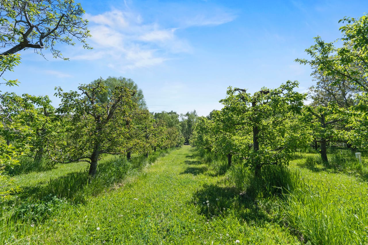 Eagle Creek Orchard