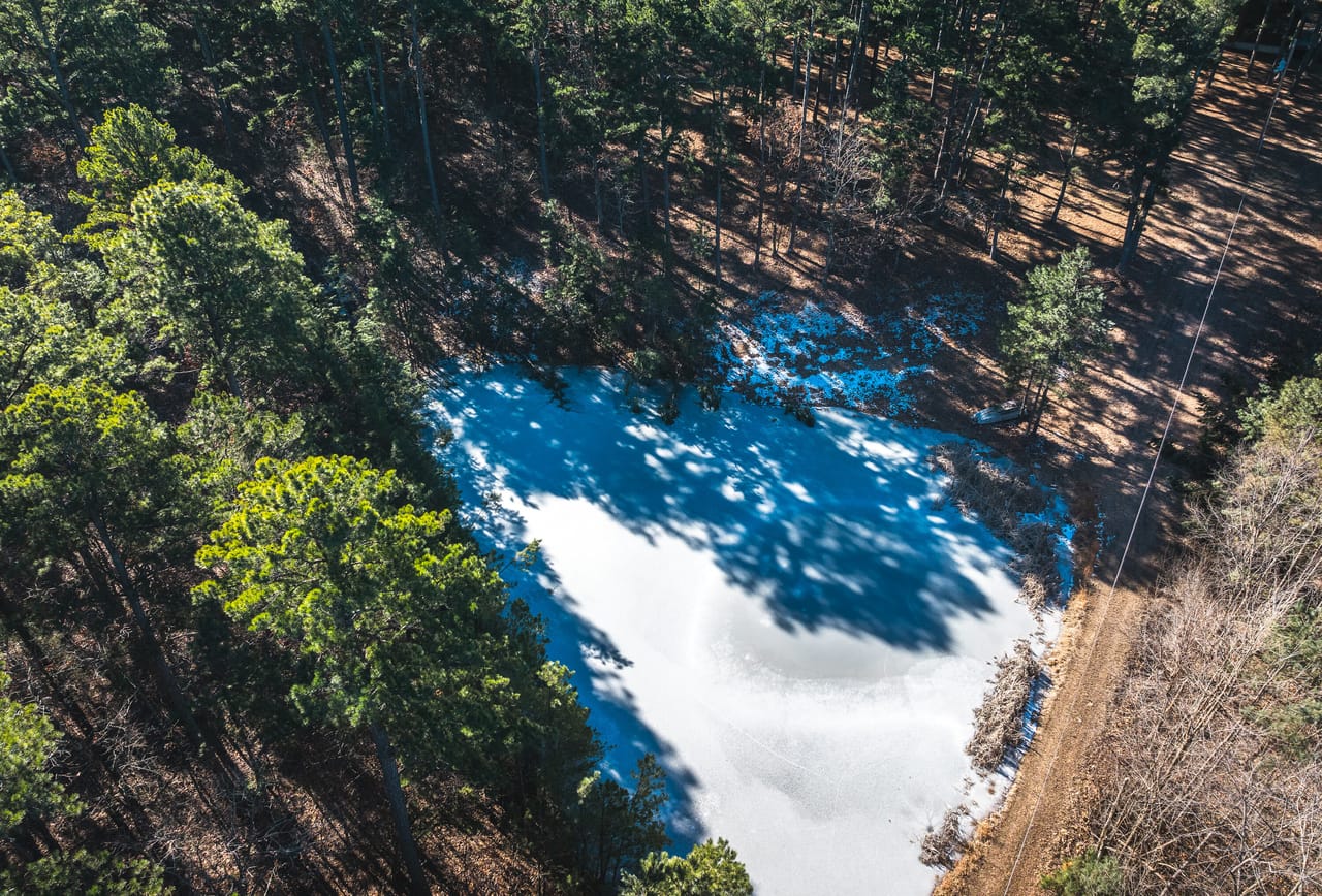 Whispering Pines