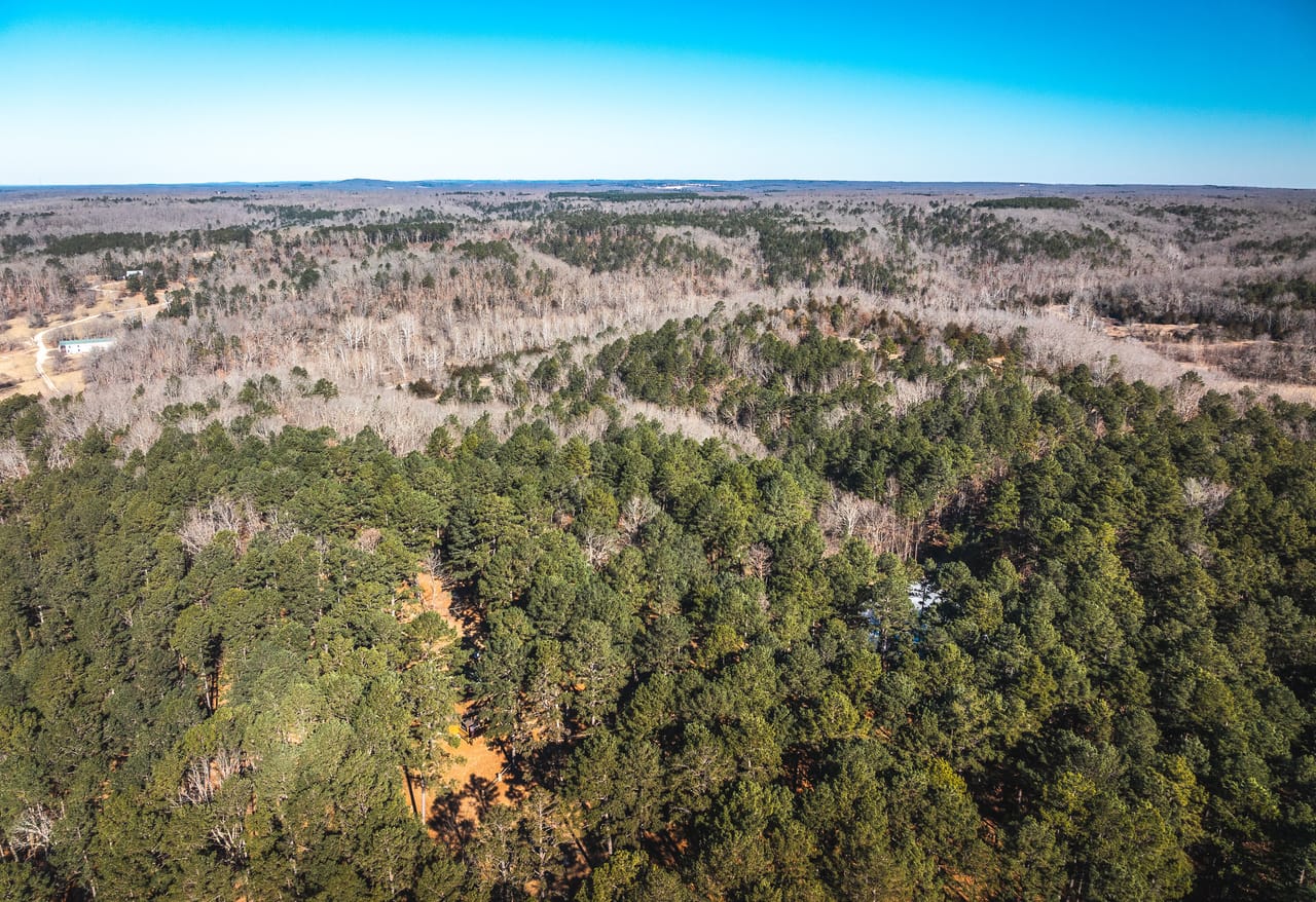 Whispering Pines