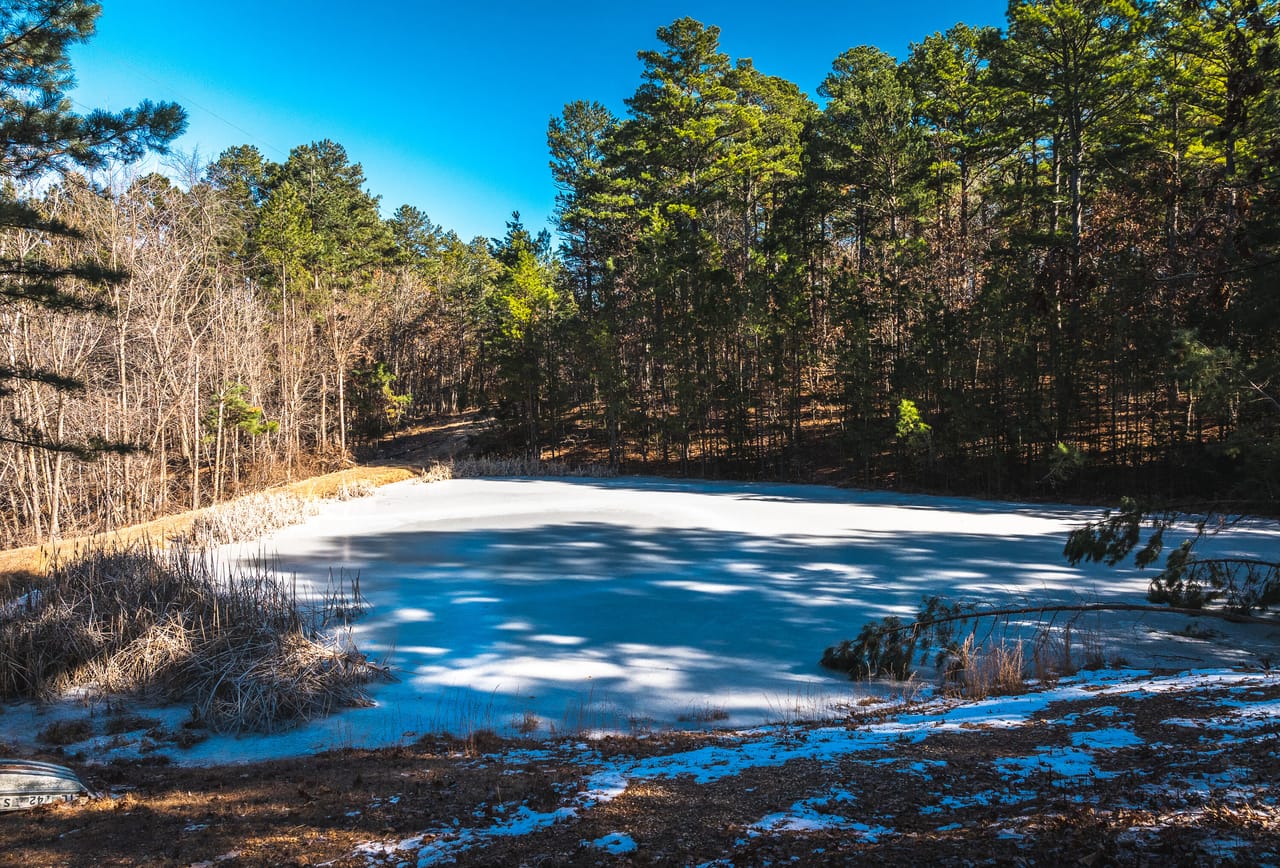 Whispering Pines