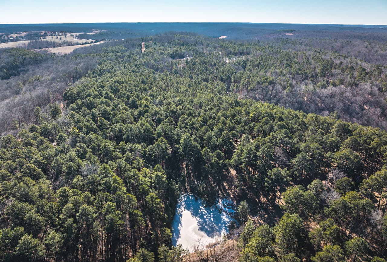 Whispering Pines