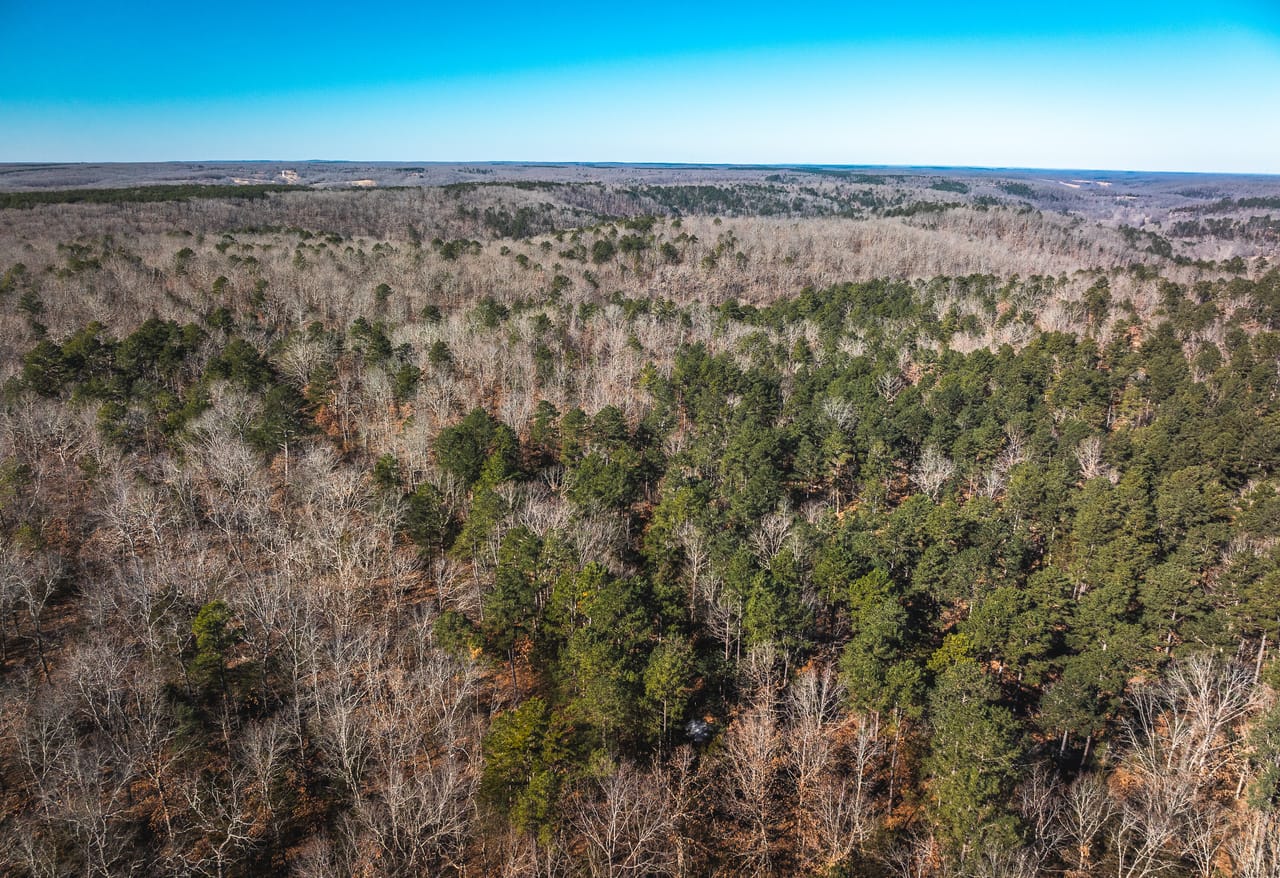 Whispering Pines