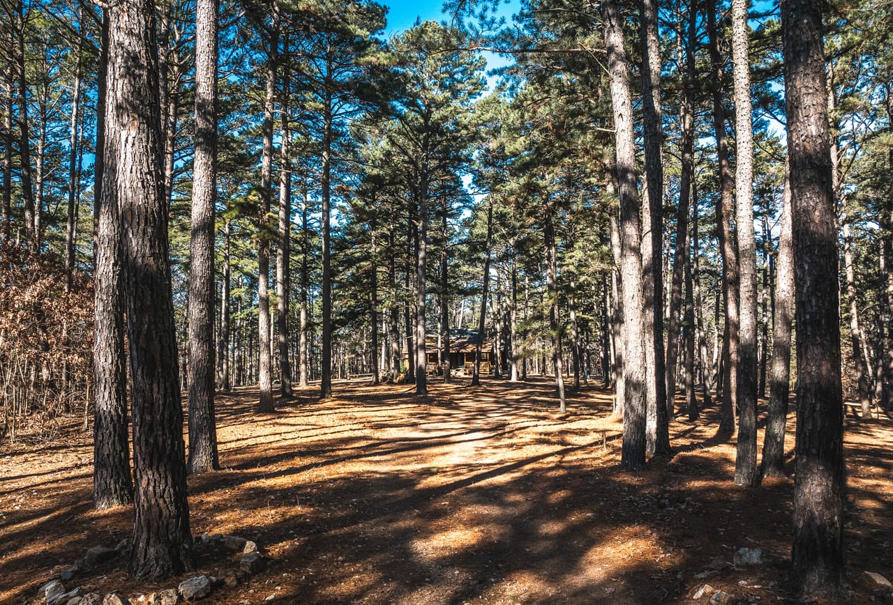 Whispering Pines