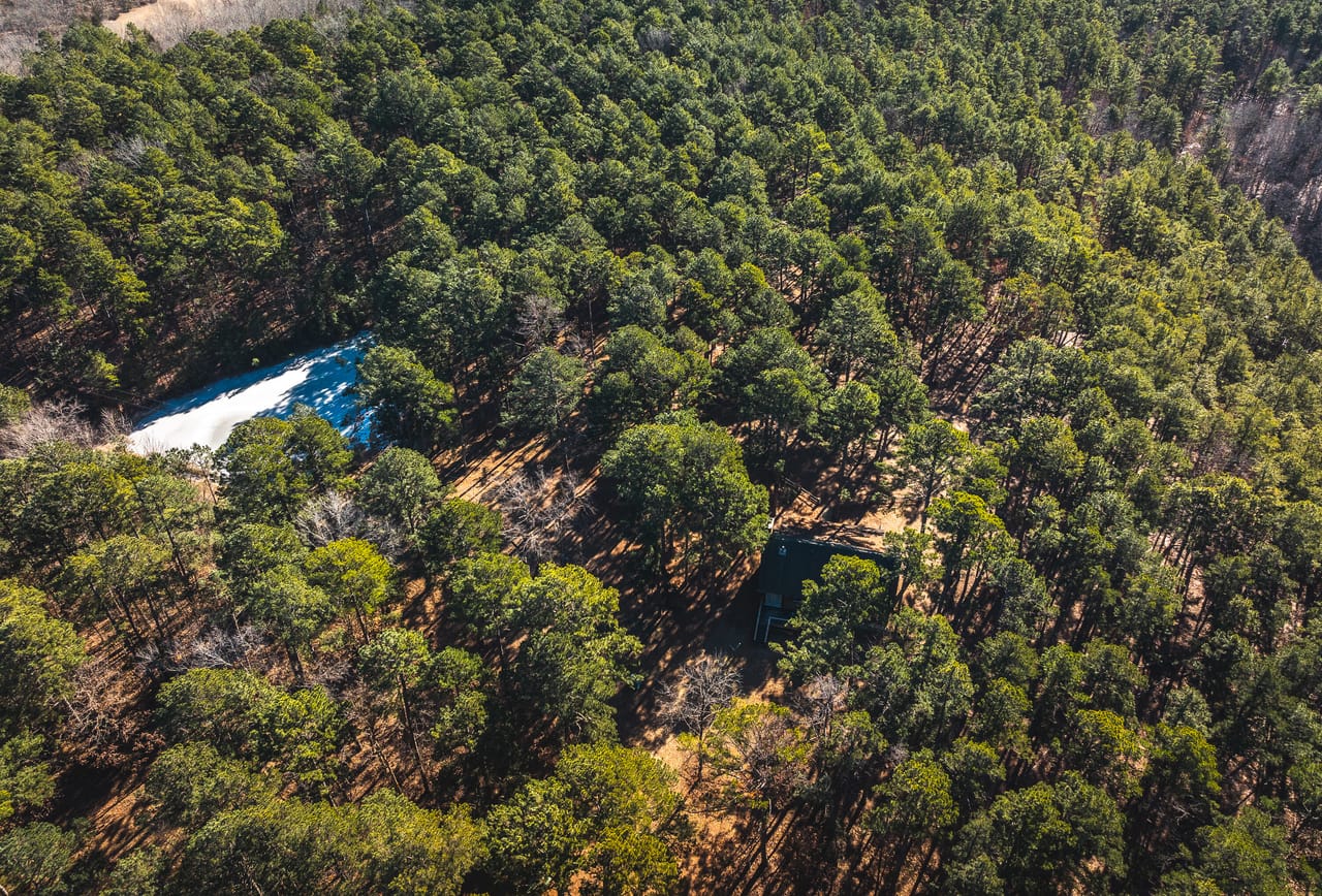 Whispering Pines