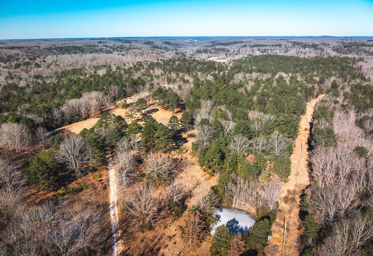 Whispering Pines
