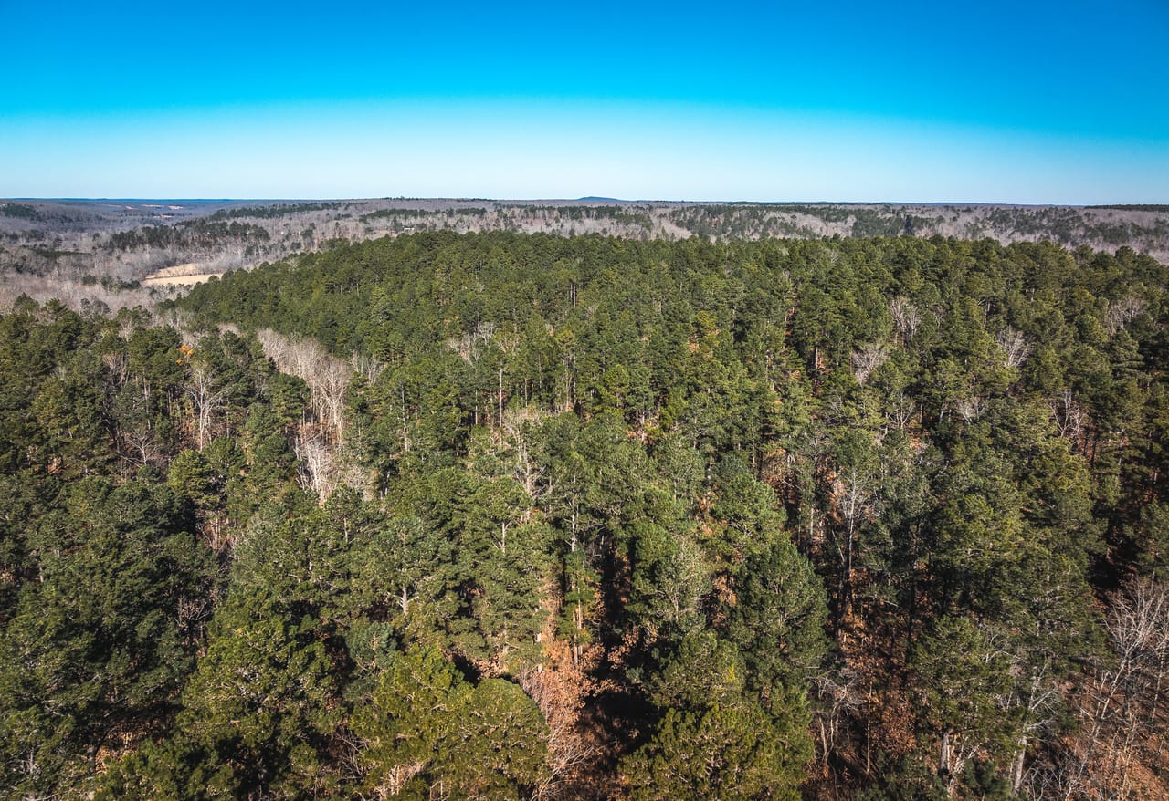Whispering Pines
