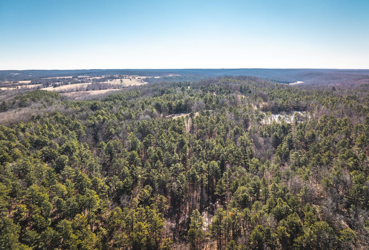 Whispering Pines