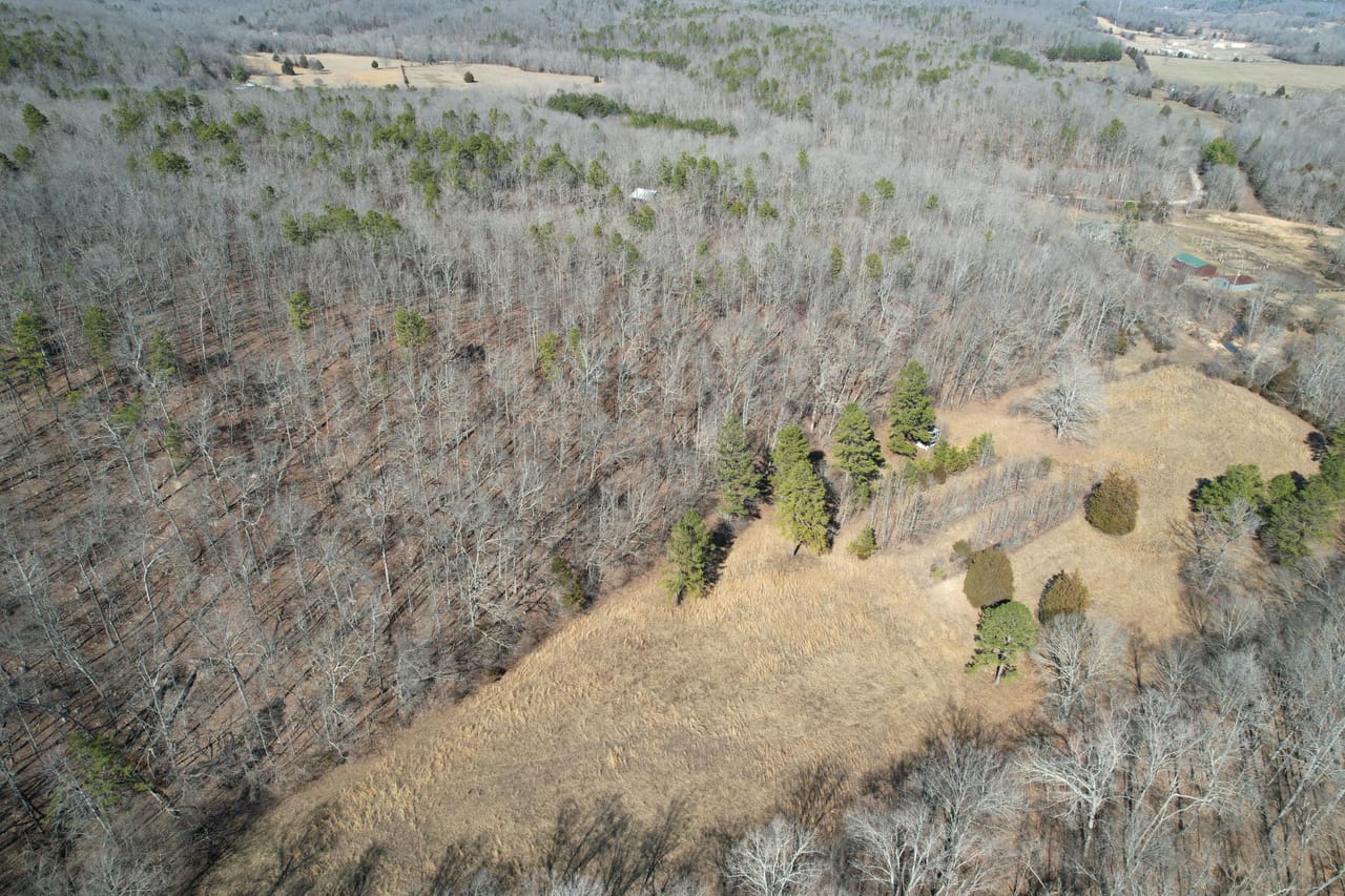 Listing Image 16