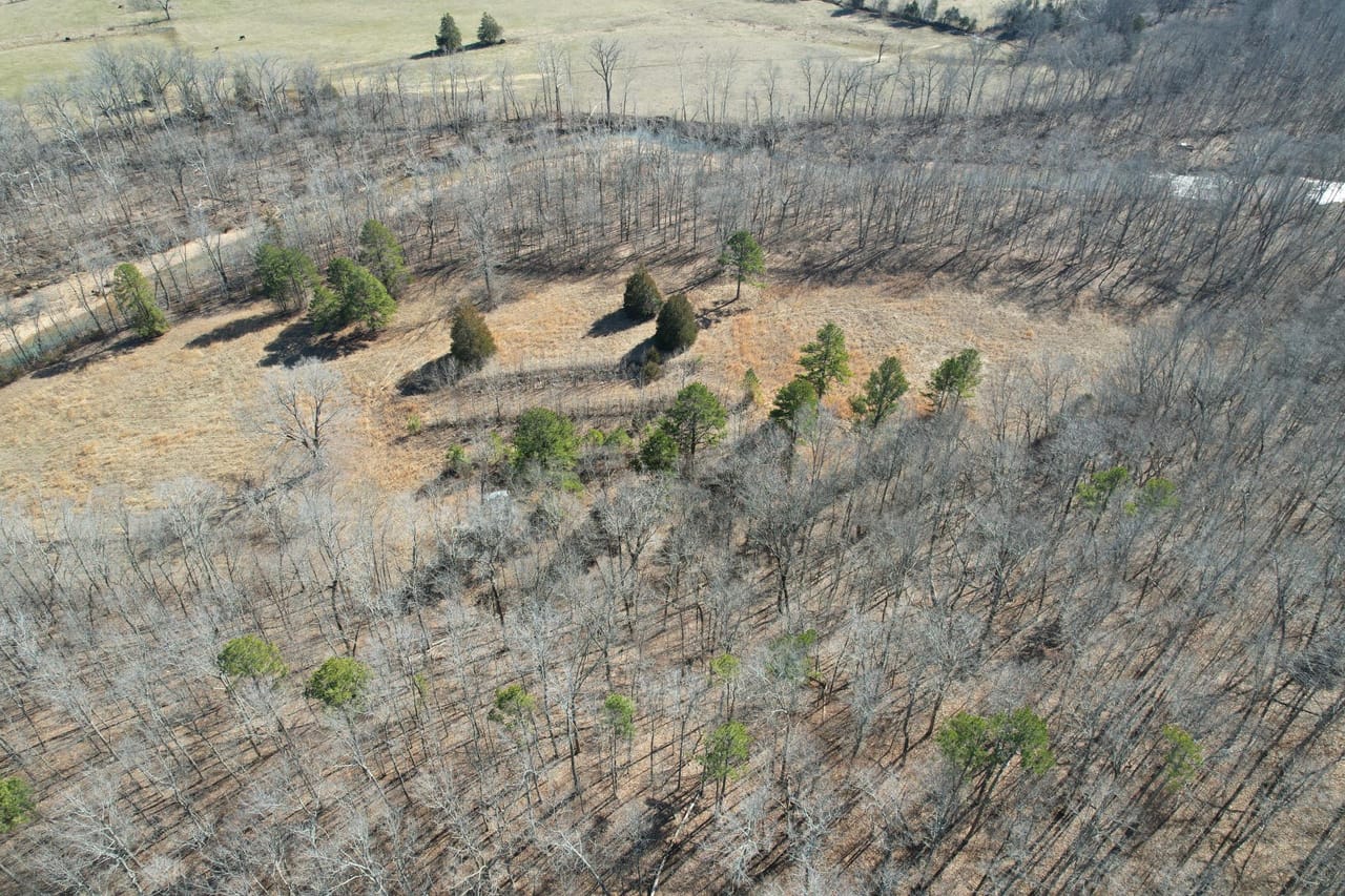 Listing Image 19