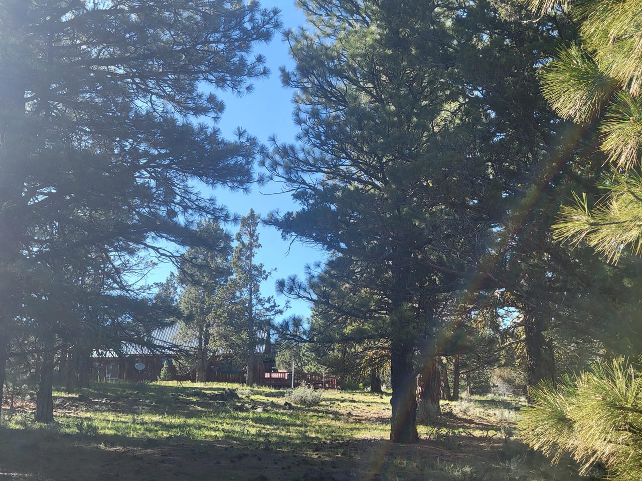A Storybook Escape: Live the Legend at Cave Mountain Cabin