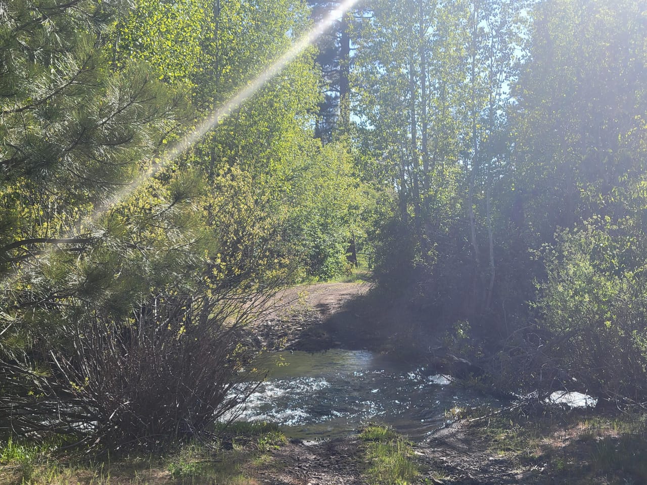 A Storybook Escape: Live the Legend at Cave Mountain Cabin