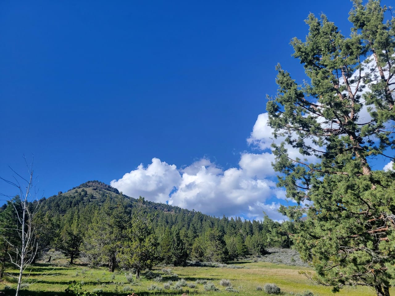 A Storybook Escape: Live the Legend at Cave Mountain Cabin