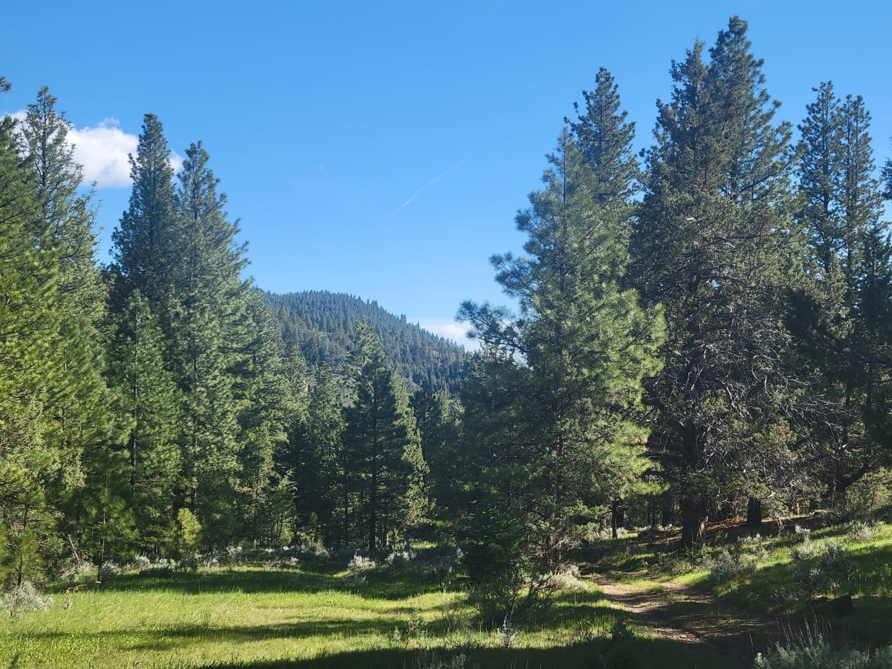 A Storybook Escape: Live the Legend at Cave Mountain Cabin