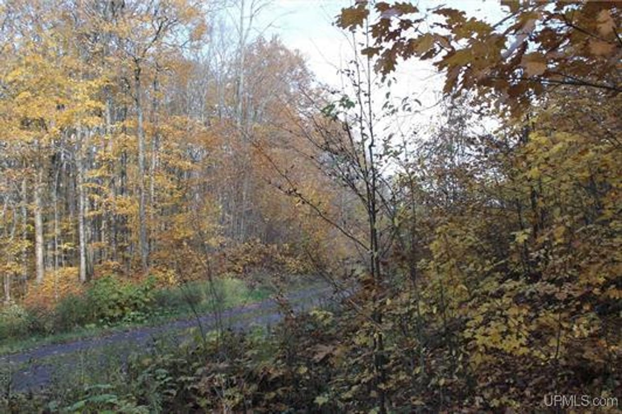 Michigan 80 Wooded Acres 50143428